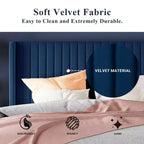 Letto imbottito in velluto con testiera ad ali, nero/bianco/blu – Matrimoniale / Queen / King, 1–2 persone, non necessita di rete a molle